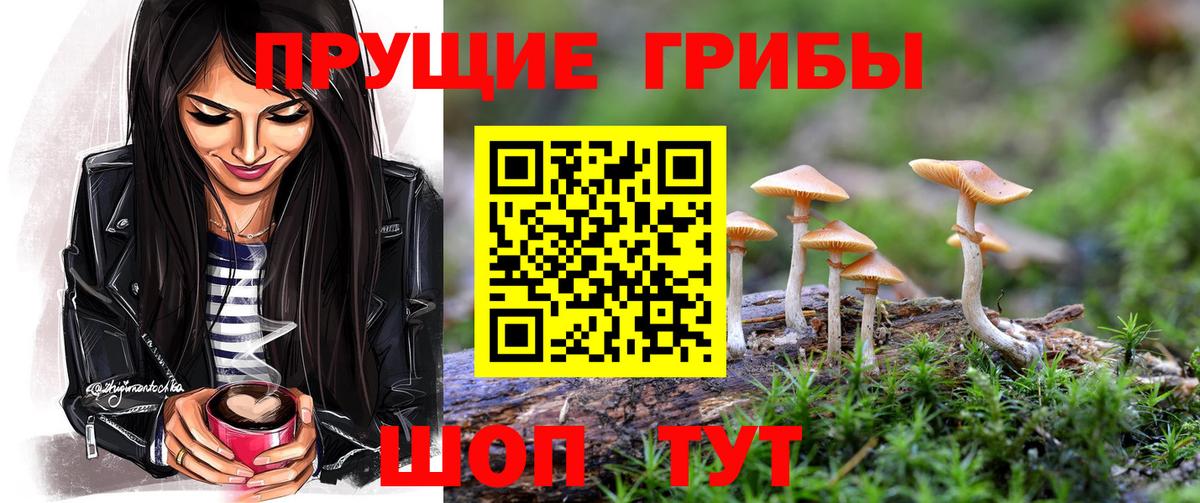 Псилоцибиновые грибы ЛСД  Вход с VPN  Кашира 