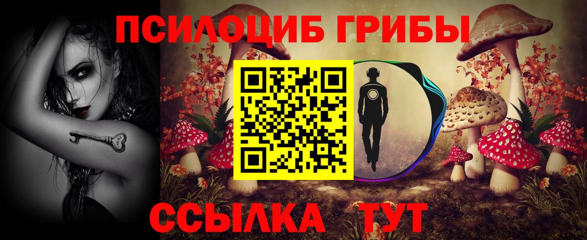 Галлюциногенные грибы мицелий Кашира